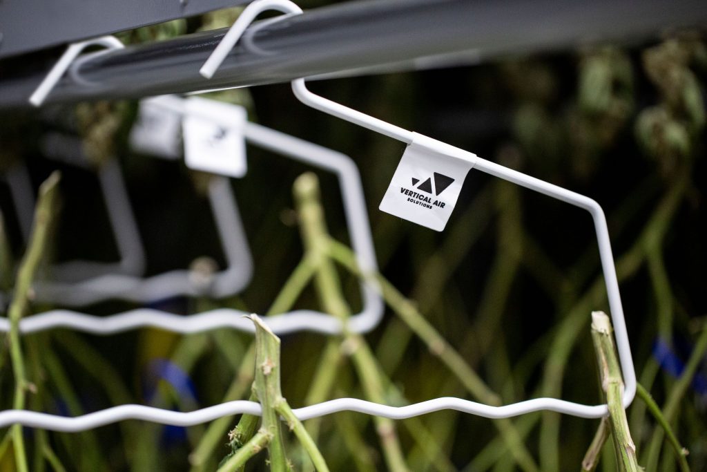 vertical drying plants - Plant Drying Hangers